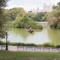 New York 2014-11