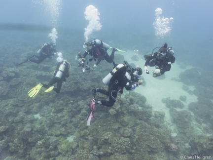 Isla del Coco 2014-3