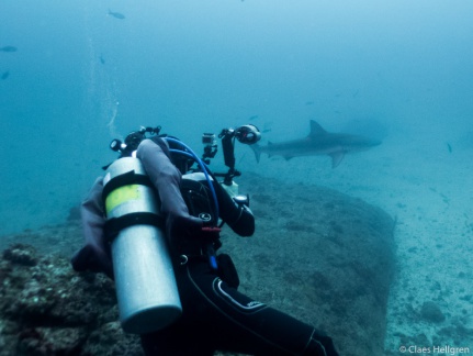 Isla del Coco 2014-9