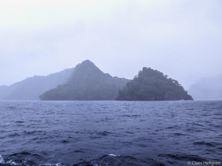 Isla del Coco 2014-11