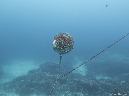 Isla del Coco 2014-19