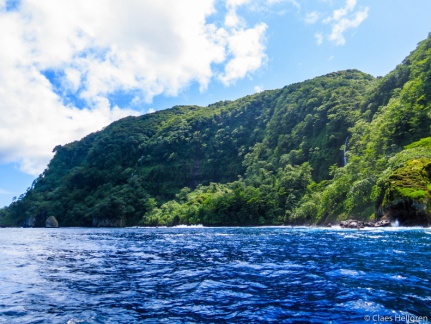 Isla del Coco 2014-33