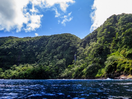 Isla del Coco 2014-34