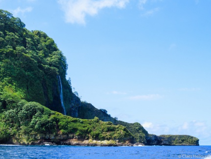 Isla del Coco 2014-36