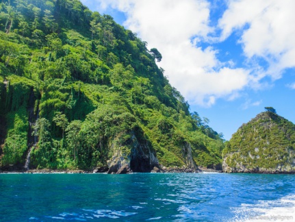 Isla del Coco 2014-37