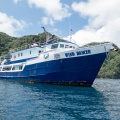 Isla del Coco 2014-38
