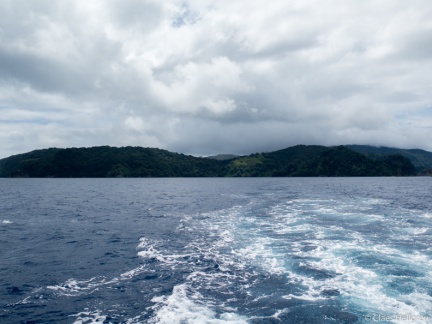 Isla del Coco 2014-59